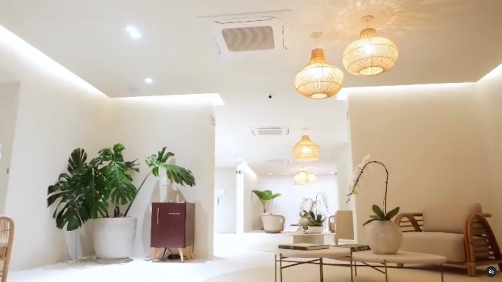 Recepção da Clínica Seven com luminárias de palha e plantas